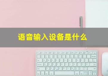 语音输入设备是什么