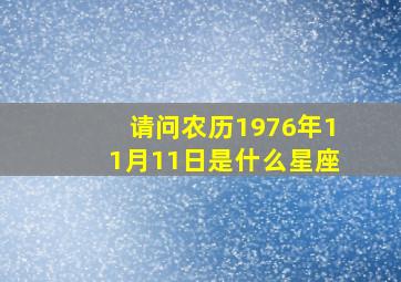 请问农历1976年11月11日是什么星座