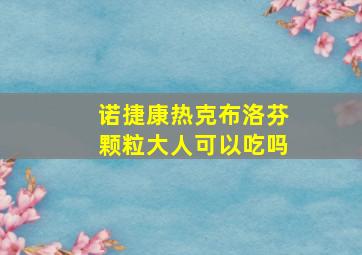 诺捷康热克布洛芬颗粒大人可以吃吗