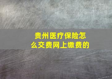 贵州医疗保险怎么交费网上缴费的