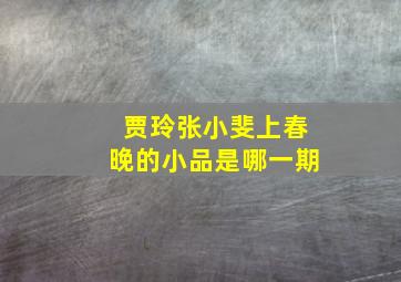 贾玲张小斐上春晚的小品是哪一期