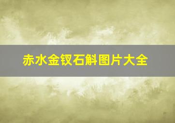 赤水金钗石斛图片大全