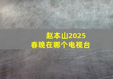 赵本山2025春晚在哪个电视台