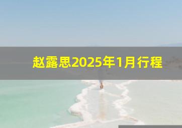 赵露思2025年1月行程