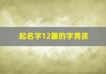 起名字12画的字男孩