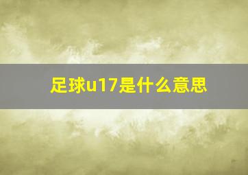 足球u17是什么意思