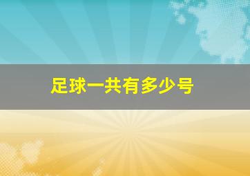 足球一共有多少号