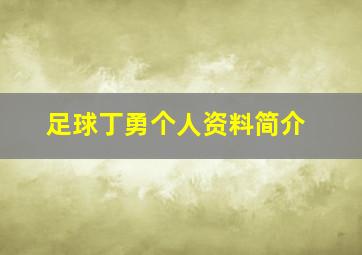 足球丁勇个人资料简介