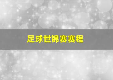 足球世锦赛赛程