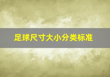 足球尺寸大小分类标准