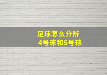 足球怎么分辨4号球和5号球