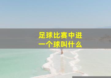 足球比赛中进一个球叫什么