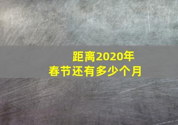 距离2020年春节还有多少个月