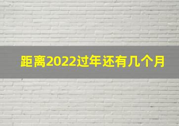 距离2022过年还有几个月