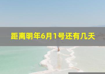 距离明年6月1号还有几天