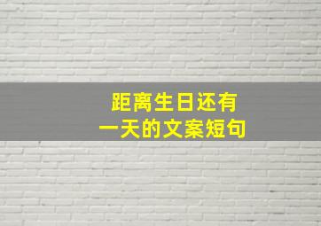 距离生日还有一天的文案短句