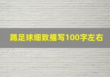 踢足球细致描写100字左右