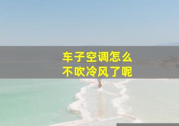 车子空调怎么不吹冷风了呢