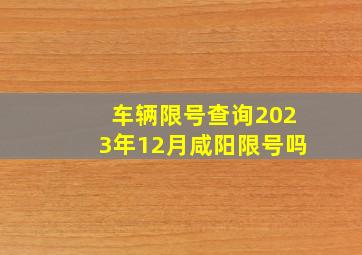 车辆限号查询2023年12月咸阳限号吗