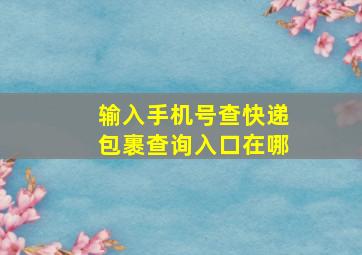 输入手机号查快递包裹查询入口在哪