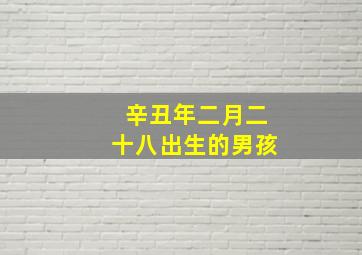 辛丑年二月二十八出生的男孩