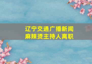 辽宁交通广播新闻麻辣烫主持人离职