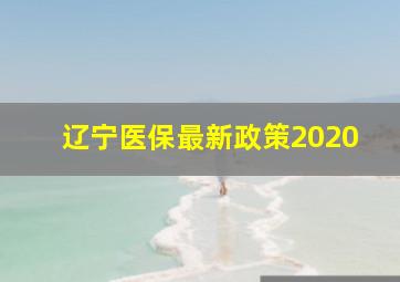 辽宁医保最新政策2020