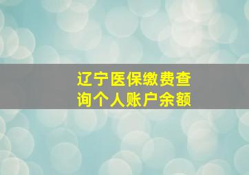 辽宁医保缴费查询个人账户余额