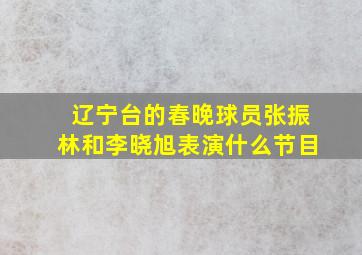 辽宁台的春晚球员张振林和李晓旭表演什么节目