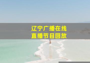 辽宁广播在线直播节目回放