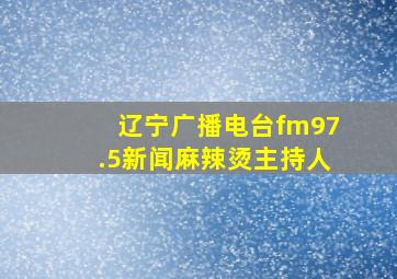 辽宁广播电台fm97.5新闻麻辣烫主持人