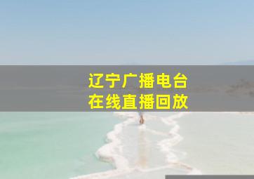 辽宁广播电台在线直播回放