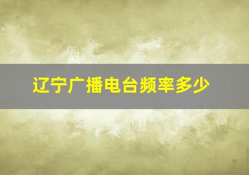 辽宁广播电台频率多少