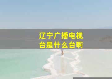 辽宁广播电视台是什么台啊