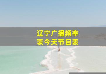 辽宁广播频率表今天节目表