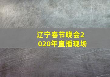 辽宁春节晚会2020年直播现场