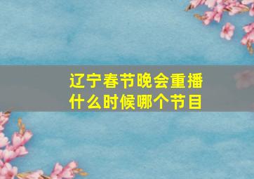 辽宁春节晚会重播什么时候哪个节目