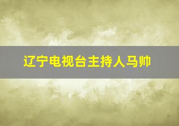 辽宁电视台主持人马帅