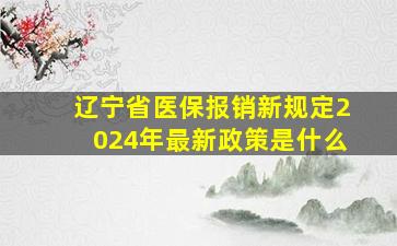 辽宁省医保报销新规定2024年最新政策是什么