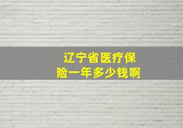 辽宁省医疗保险一年多少钱啊