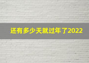 还有多少天就过年了2022