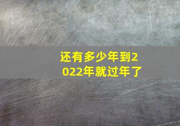 还有多少年到2022年就过年了