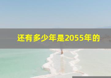 还有多少年是2055年的