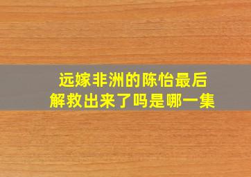 远嫁非洲的陈怡最后解救出来了吗是哪一集