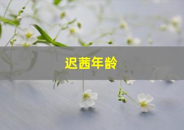 迟茜年龄