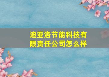 迪亚洛节能科技有限责任公司怎么样