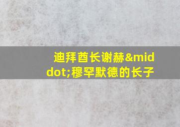 迪拜酋长谢赫·穆罕默德的长子