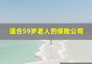 适合59岁老人的保险公司