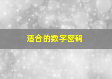 适合的数字密码