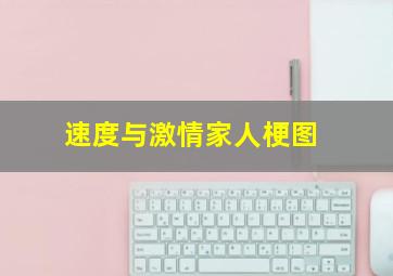 速度与激情家人梗图